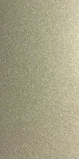Champagne Silver